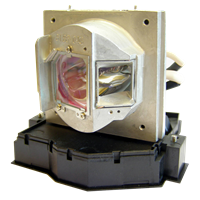 ACER DWX0714 Lamp with housing