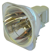 BENQ 5J.06W01.001 Lamp without housing