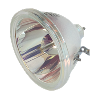 BOXLIGHT 6000 Lamp without housing