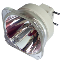 CHRISTIE LW551i Lamp without housing