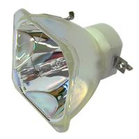 EIKI 610 349 0847 Lamp without housing