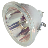 LG RU-44SZ61D Lamp without housing