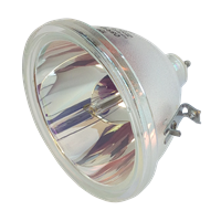 LG RU-44SZ63D Lamp without housing