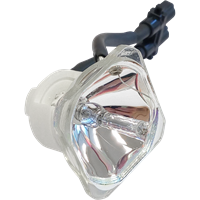 NEC VT45KG Lamp without housing