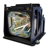 NEC VT770 Lamp with housing