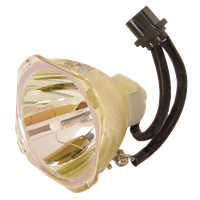 PANASONIC PT-BW10NT Lamp without housing