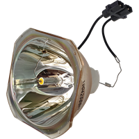 PANASONIC PT-DZ110XE Lamp without housing