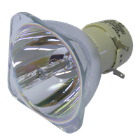 PANASONIC PT-TX300 Lamp without housing