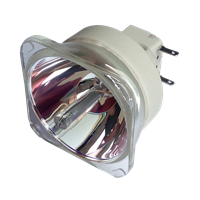 PHILIPS-UHP 365/280W 1.0 E19.7 Lamp without housing