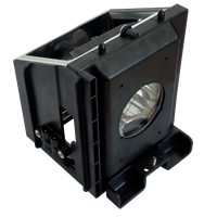 SAMSUNG SP-50L3HRX/XAX Lamp with housing