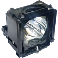 SAMSUNG SP-M205 Lamp with housing